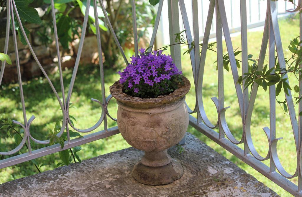 Studio And Room Tea Rovinj Exterior photo